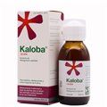 Kaloba Jarabe 100Ml