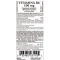 Solgar Vitamin B6 100Mg 100 Capsules