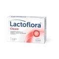 Lactoflora Ciscare 30 Capsulas